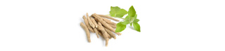 Ashwagandha - 120 kapsułek - BIOWEN WM